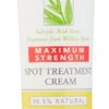 100084_burt-s-bees-natural-acne-solutions-maximum-strength-spot-treatment-cream-0-5-ounces.jpg