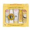 100421_burt-s-bees-essential-everyday-beauty-kit.jpg