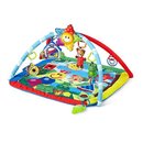 100522_baby-einstein-caterpillar-and-friends-play-gym.jpg