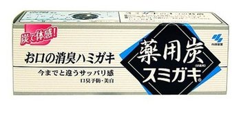 101205_sumigaki-japanese-charcoal-toothpaste.jpg