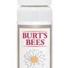 101457_burt-s-bees-brightening-dark-spot-corrector-1-fluid-ounce.jpg