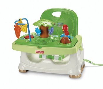 101885_fisher-price-booster-seat-rainforest.jpg