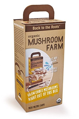 101973_back-to-the-roots-mushroom-farm.jpg