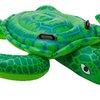 102082_intex-sea-turtle-ride-on.jpg