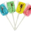 102176_scorpion-suckers-assorted-lollipops-pack-of-36.jpg