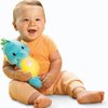 10305_fisher-price-ocean-wonders-soothe-and-glow-seahorse.jpg