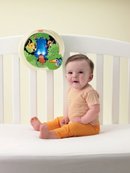 103465_fisher-price-disney-baby-lion-king-peek-a-boo-soother.jpg