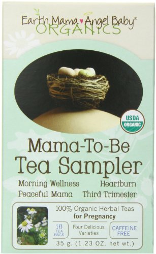 104031_earth-mama-angel-baby-organic-mama-to-be-tea-sampler-16-teabags-box-pack-of-3.jpg