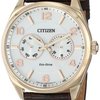 104594_citizen-men-s-ao9023-01a-dress-analog-display-japanese-quartz-brown-watch.jpg