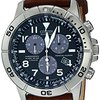 105265_citizen-men-s-bl5250-02l-titanium-eco-drive-watch-with-leather-band.jpg