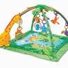 105654_fisher-price-rainforest-melodies-and-lights-deluxe-gym.jpg