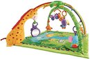 105888_fisher-price-rainforest-melodies-and-lights-deluxe-gym.jpg