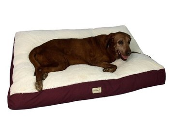 106119_armarkat-pet-bed-mat-39-inch-by-28-inch-by-7-inch-m02hjh-mb-large-ivory.jpg