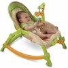 106466_fisher-price-portable-rocker-newborn-to-toddler.jpg