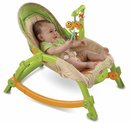 106466_fisher-price-portable-rocker-newborn-to-toddler.jpg