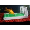 106682_r2-fish-school-complete-fish-training-kit.jpg