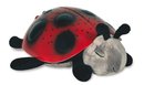 106735_cloud-b-twilight-constellation-night-light-lady-bug.jpg