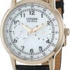 107662_citizen-men-s-ao9003-16a-eco-drive-rose-gold-tone-stainless-steel-watch-with-black-leather-band.jpg