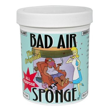 107852_bad-air-sponge-odor-neutralant-1lb.jpg