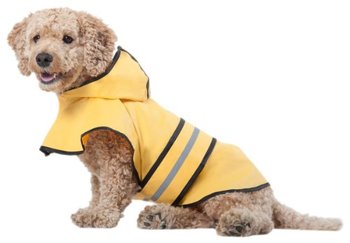 107873_fashion-pet-rainy-days-slicker-yellow-raincoat-x-large.jpg