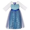 107963_disney-frozen-enchanting-dress-elsa-4-6x.jpg