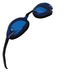 10810_speedo-vanquisher-swim-goggle.jpg