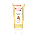 108177_burt-s-bees-fragrance-free-shea-butter-vitamin-e-body-lotion-6-ounces-pack-of-3.jpg