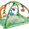 10828_fisher-price-rainforest-melodies-and-lights-deluxe-gym.jpg