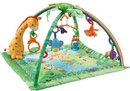 10828_fisher-price-rainforest-melodies-and-lights-deluxe-gym.jpg