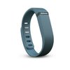 108933_fitbit-flex-wireless-activity-sleep-wristband-slate.jpg