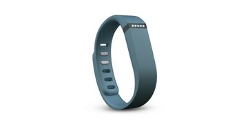 108933_fitbit-flex-wireless-activity-sleep-wristband-slate.jpg