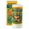 109357_badger-balm-anti-bug-balm-stick-1-5-oz.jpg