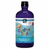 109718_nordic-naturals-children-s-dha-strawberry-16oz.jpg