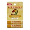 109909_burt-s-bees-lip-balm-mango-butter-0-15-ounce-2-count.jpg