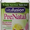 110340_vitafusion-prenatal-gummy-vitamins-90-count.jpg