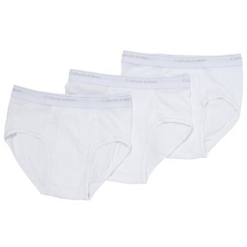 111160_calvin-klein-men-s-3-pack-classic-brief-white-32.jpg