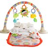 111910_fisher-price-cuddle-n-play-gym-my-little-snugapuppy.jpg