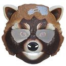 112280_marvel-guardians-of-the-galaxy-rocket-raccoon-action-mask.jpg