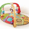 11295_fisher-price-luv-u-zoo-musical-mirror-activity-gym.jpg