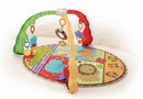 11295_fisher-price-luv-u-zoo-musical-mirror-activity-gym.jpg