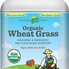 113781_amazing-grass-organic-wheat-grass-100-serving-28-2-oz-container.jpg