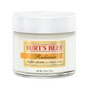 113886_burt-s-bees-radiance-night-cream-2-ounces.jpg