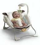 113953_fisher-price-my-little-lamb-deluxe-infant-seat.jpg