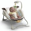 113953_fisher-price-my-little-lamb-deluxe-infant-seat.jpg