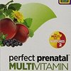 115077_new-chapter-perfect-prenatal-multivitamin-192-tablets-packaging-may-vary.jpg