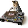 115651_suck-uk-cat-stratching-dj-deck.jpg