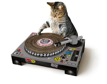 115651_suck-uk-cat-stratching-dj-deck.jpg