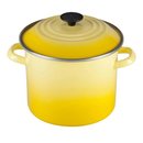 116295_le-creuset-enameled-steel-stock-pot-with-lid-fennel.jpg