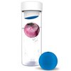 116454_adnart-glass-water-bottle-with-fruit-iceball-maker-blue.jpg