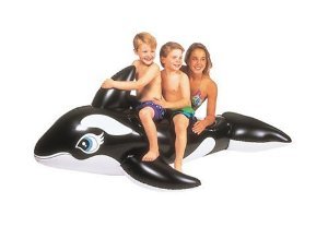 11646_76-x-47-whale-ride-on.jpg